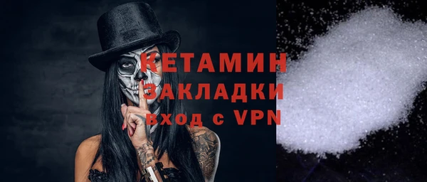 стаф Алзамай