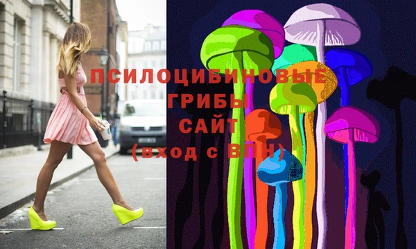стаф Алзамай