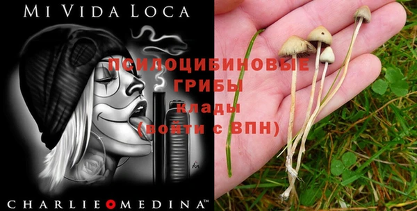 синтетический гашиш Алексеевка