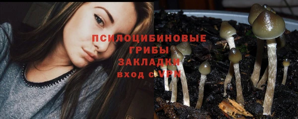 mix Алексин