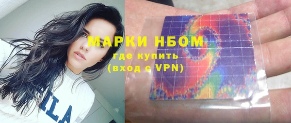 стаф Алзамай