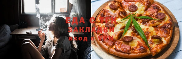 стаф Алзамай