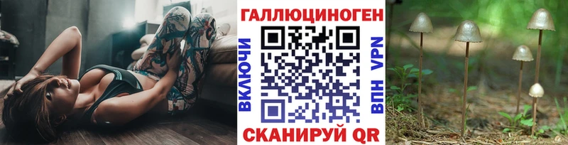 Галлюциногенные грибы Psilocybine cubensis Хотьково